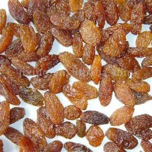 Raisin - good source of carbs and easy to eat on the bike - picture from azarsahand.com